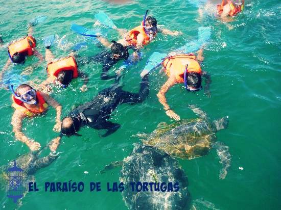 Extreme Diving - Imagen 2