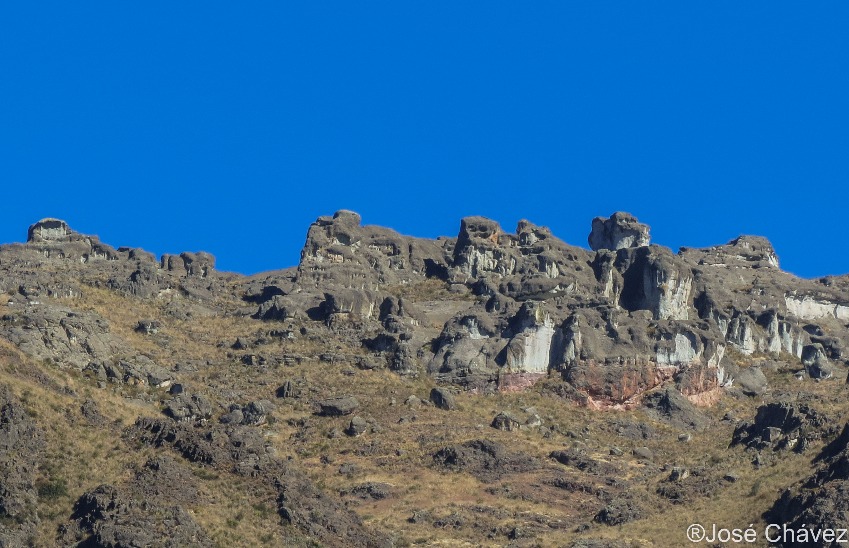 Maquerhua Puya Forest - Imagen 2