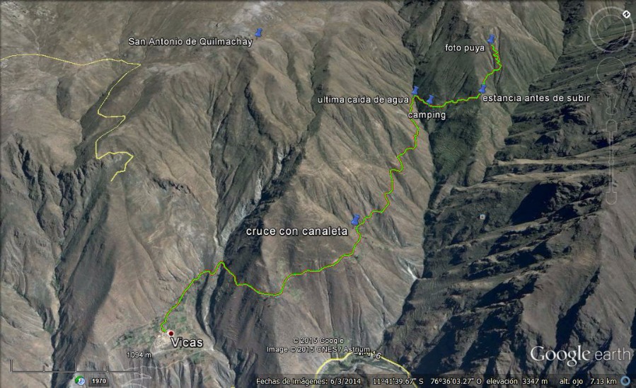 Maquerhua Puya Forest - Imagen 4