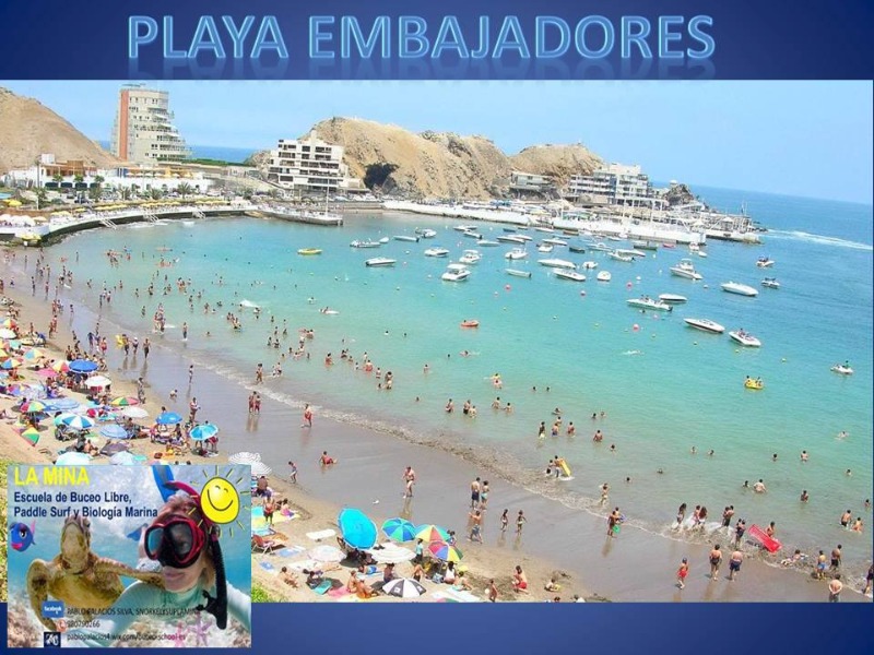 Free diving - Imagen 4