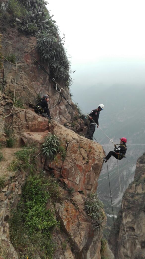 Bungee Jumping, Rappelling, and Hiking - Imagen 6