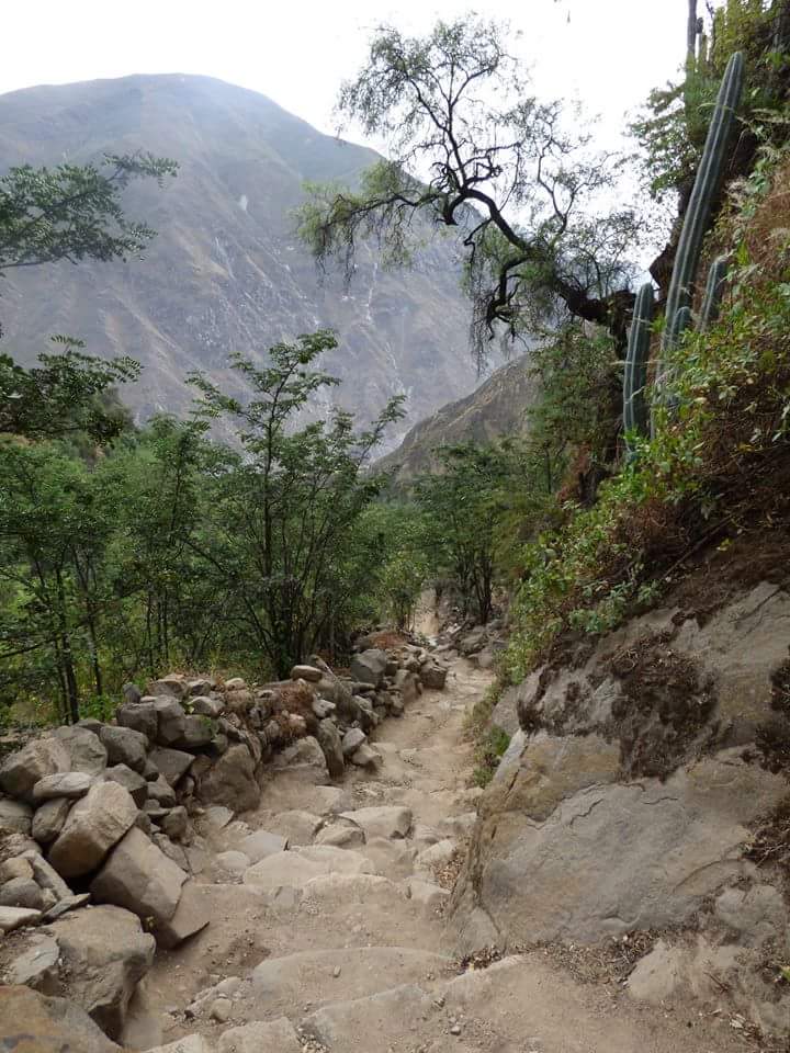 Huanano Waterfall - Imagen 12