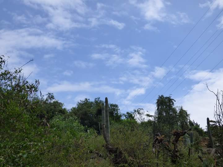 Huanano Waterfall - Imagen 13