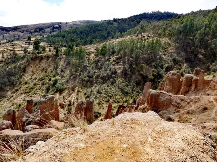 Torre Torre - Imagen 12