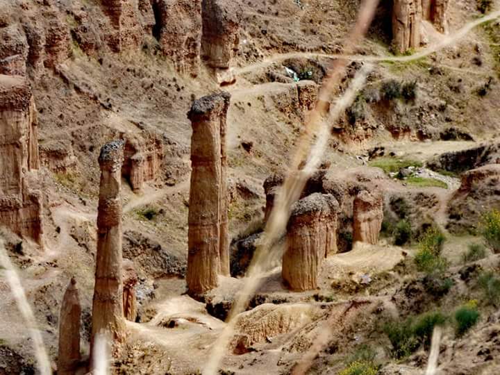 Torre Torre - Imagen 14