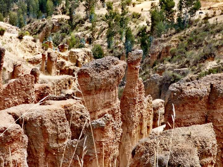 Torre Torre - Imagen 15