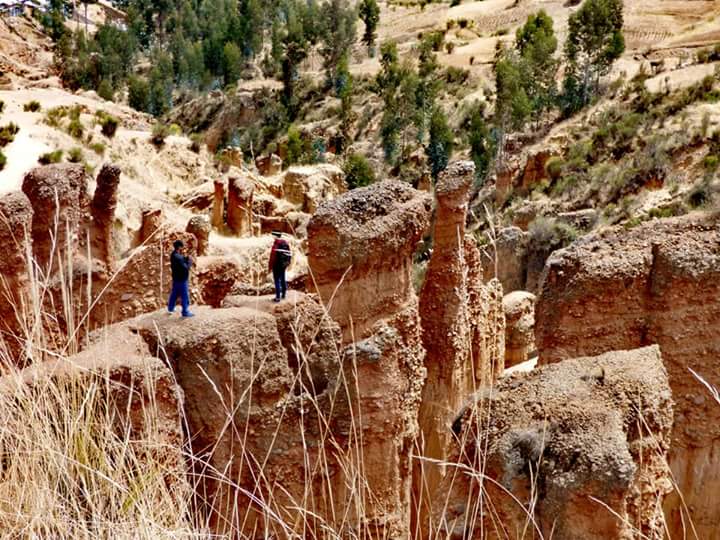 Torre Torre - Imagen 24