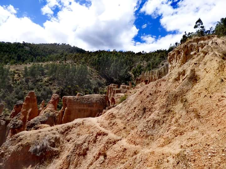 Torre Torre - Imagen 26