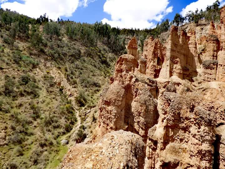 Torre Torre - Imagen 30