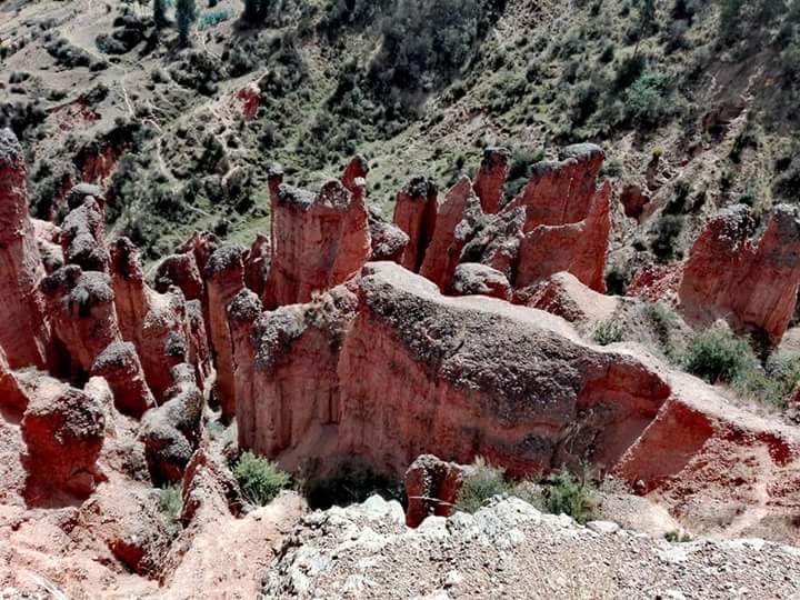 Torre Torre - Imagen 6