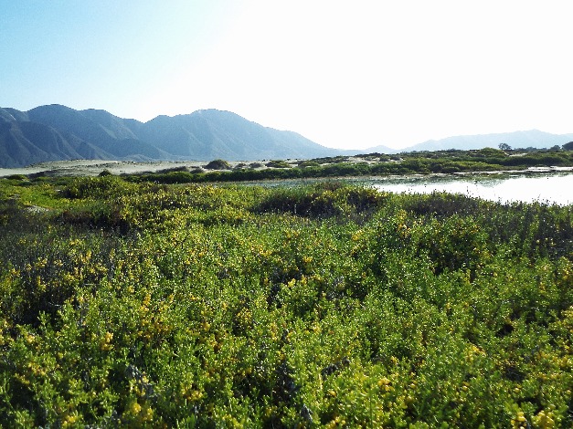 Heading to San Diego Lagoon - Imagen 5
