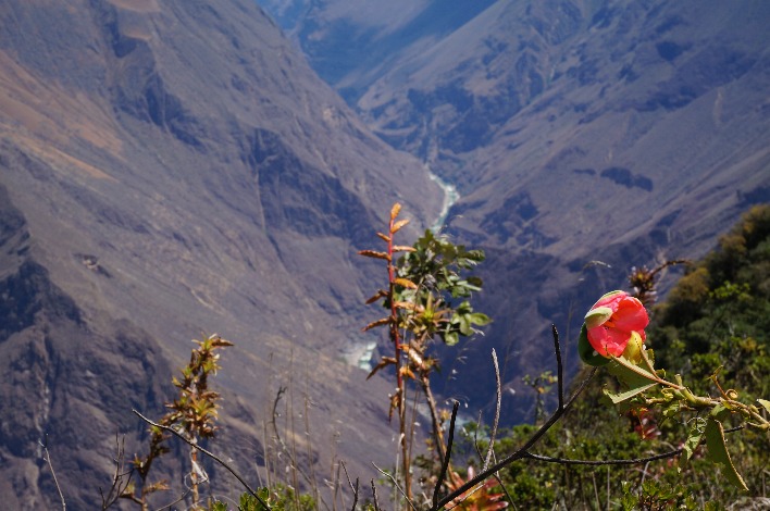 Abyss of Apurimac River Canyon - Imagen 4