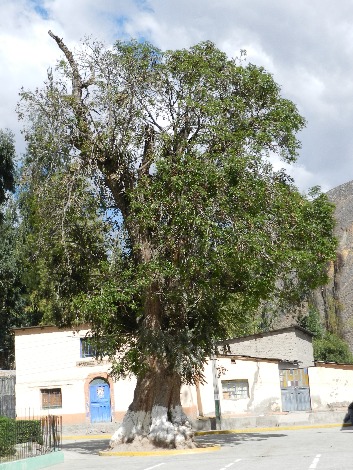 COTAHUASI Hiking Trails - Imagen 5