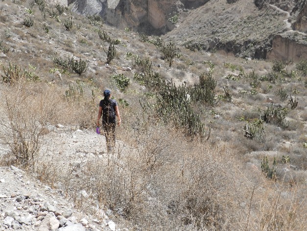 COTAHUASI CANYON - Imagen 7