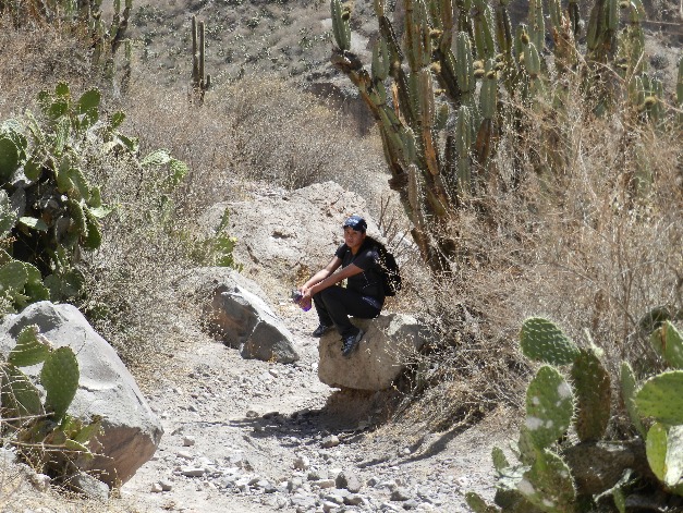 COTAHUASI CANYON - Imagen 5