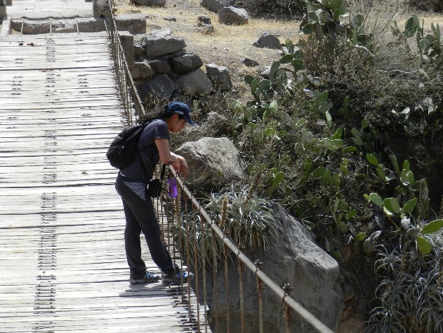 COTAHUASI CANYON - Imagen 9