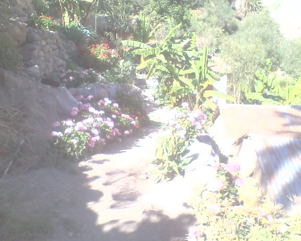 COLCA CANYON - Imagen 8