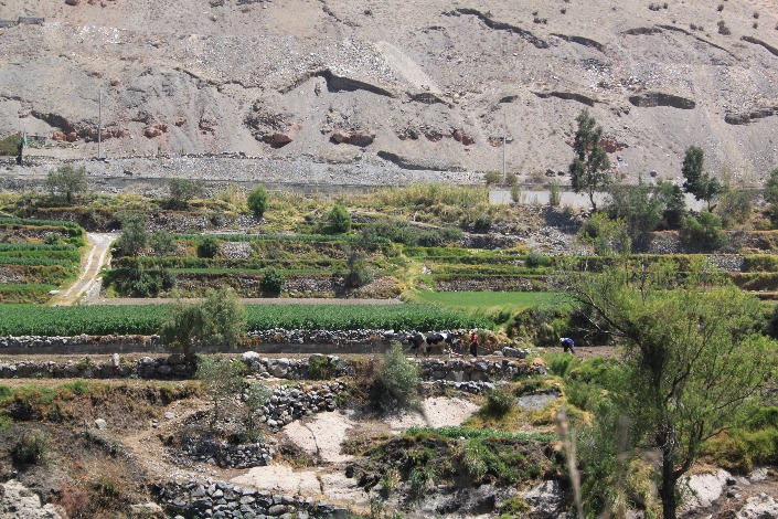 Chilina Valley - Imagen 7