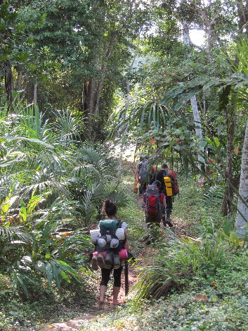 Alpamayo Snow-Capped Peak