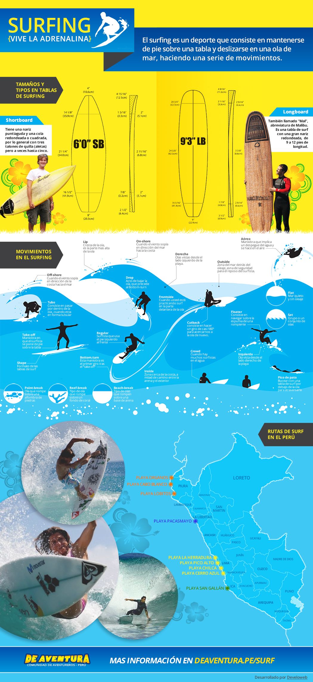Infographic of Surfing: Types of Boards, Moves, and Routes.