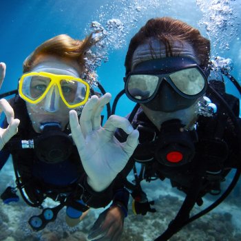 Diving: Discovering the Underwater World.