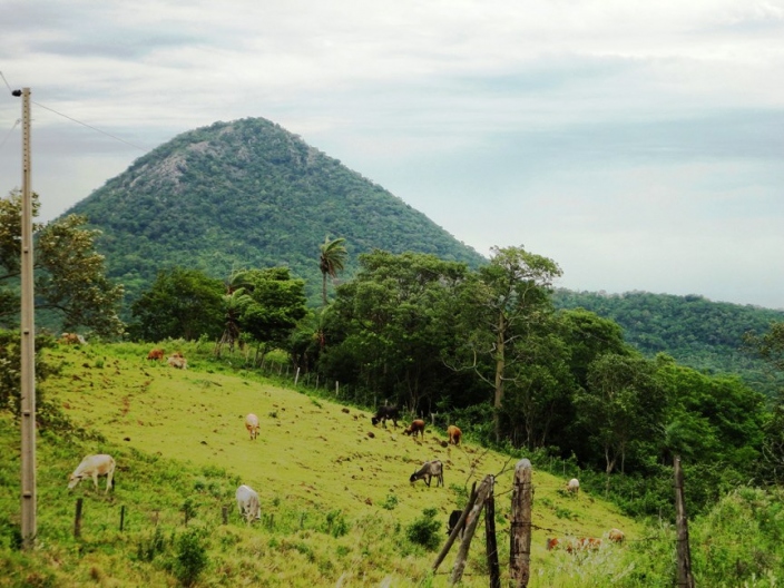 San José Hill