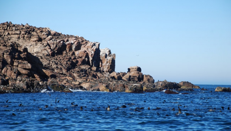 Lobos de Tierra Island