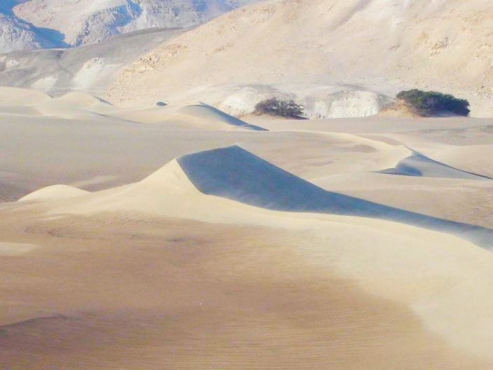 Usaca Desert