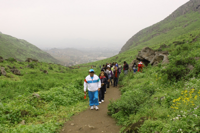 Lomas de Lúcumo