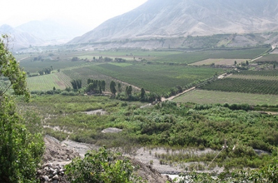 Cycling in Platanales de Totoritas