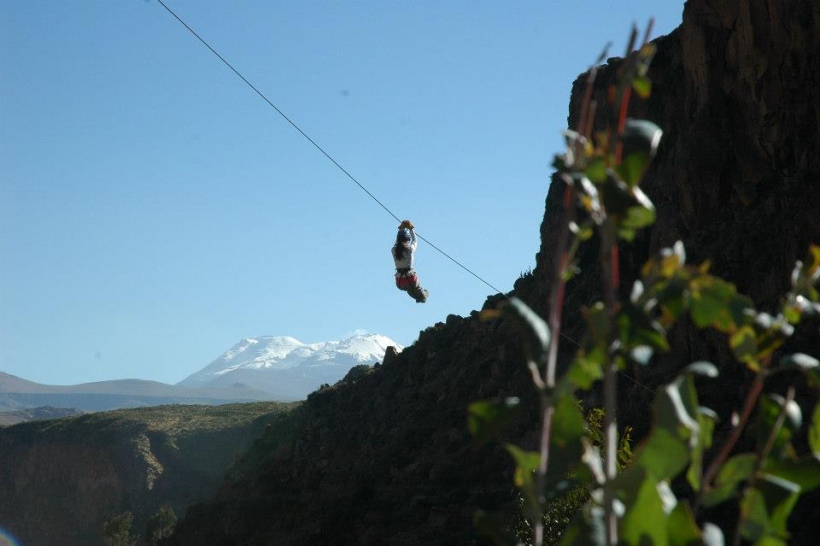 Canopy in Colca