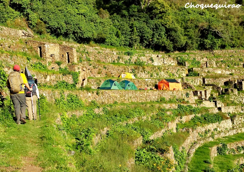 Trekking in Choquequirao