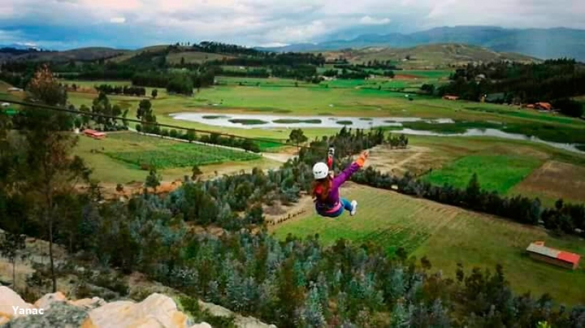 Canopy in Sulluscocha