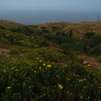 Cycling in Lomas de Atiquipa