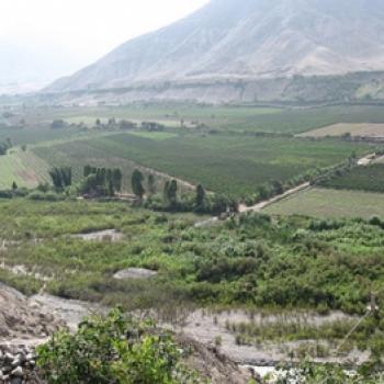 Cycling in Platanales de Totoritas