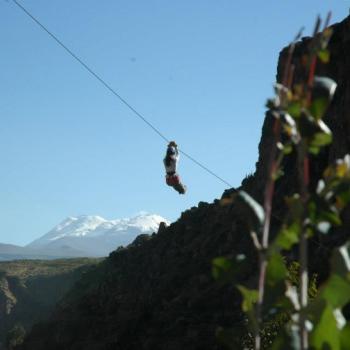 Canopy in Colca
