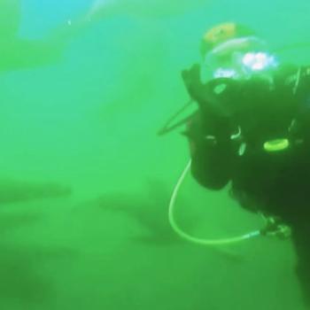 Diving in Palomino Islands